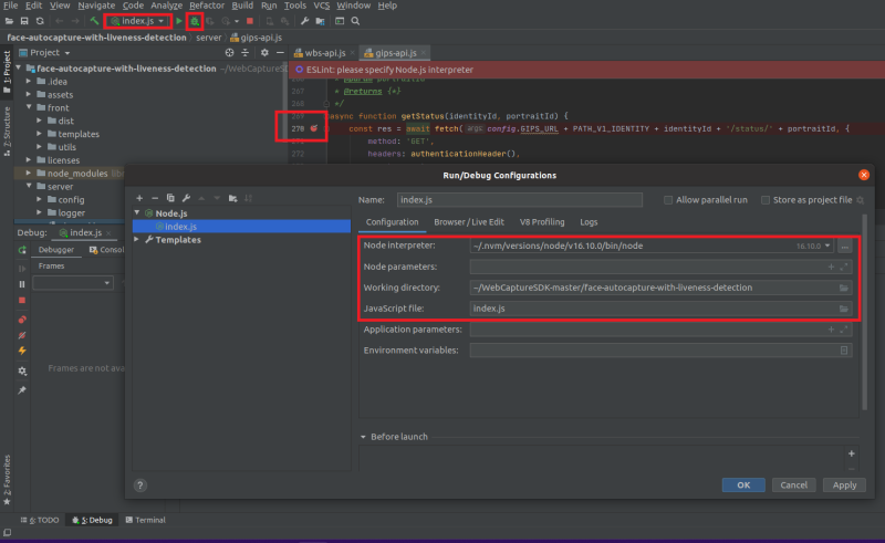 Debug webSDK demo